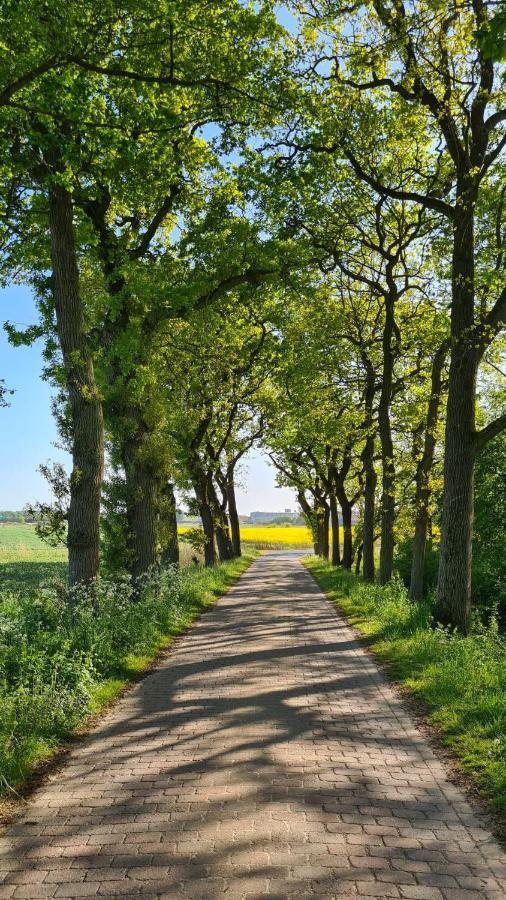 Ferienwohnung Baltrum Auf Dem Elisenhof Hagermarsch Extérieur photo